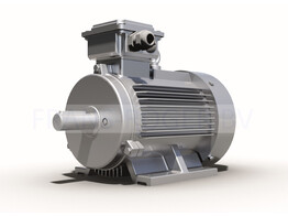 OMEC 225 M electric motor - 30kW  6 poles / 1000rpm  B3